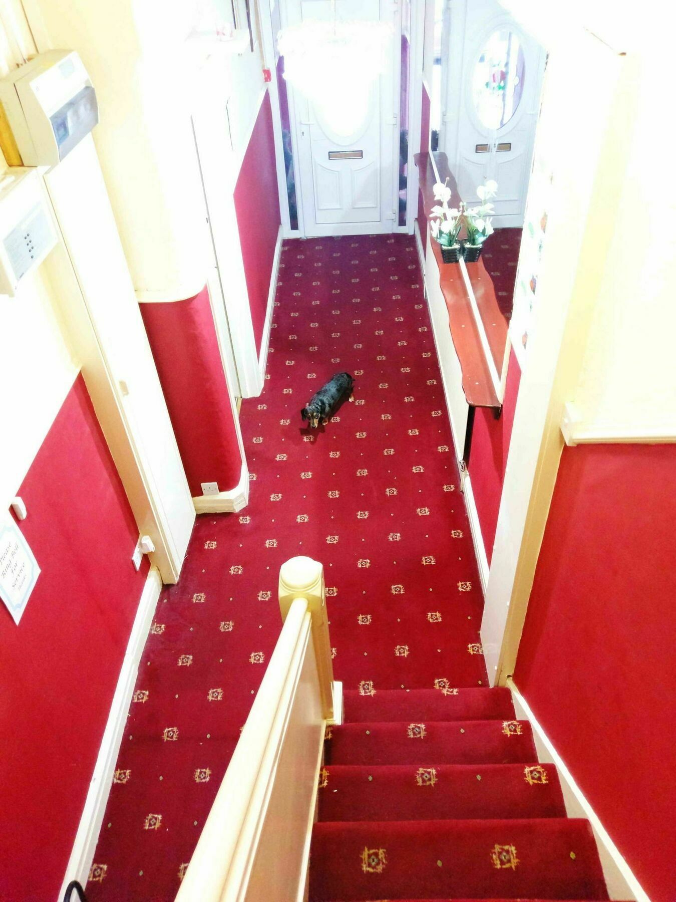 Ringbane House Bed & Breakfast Blackpool Exterior photo